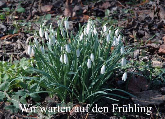 Konigszinne Bodenwerder Exteriér fotografie